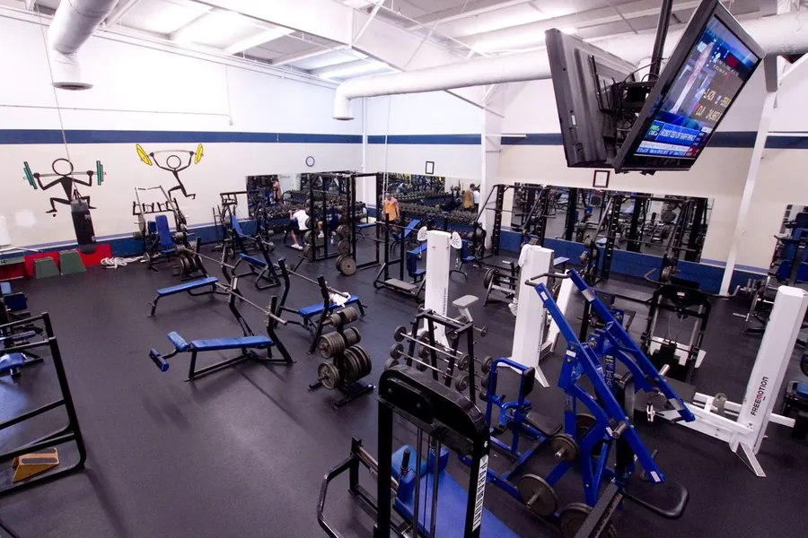 Free weights and iron area